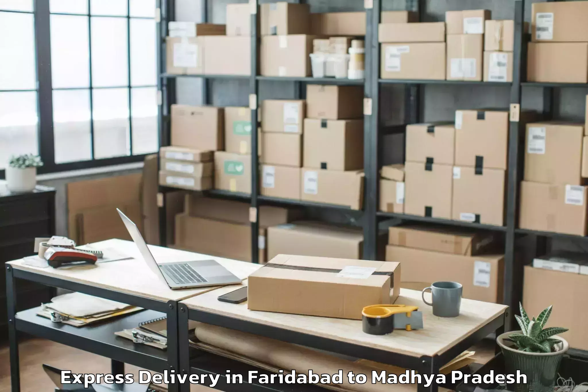 Trusted Faridabad to Petlawad Express Delivery